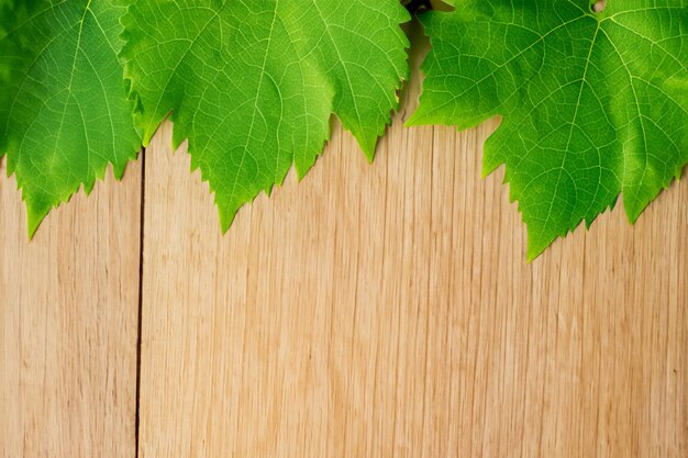 Виноградные листья на доске сочетают в себе естественную красоту фона.