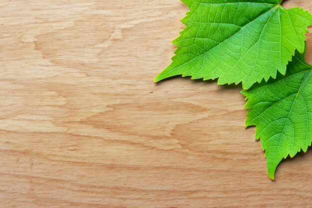 Foto le foglie di vite su una tavola combinano una bellezza naturale per lo sfondo