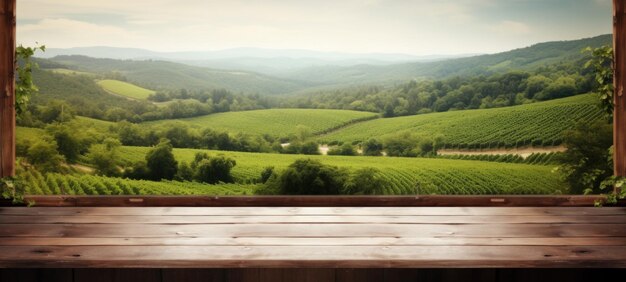 vineyard landscape background