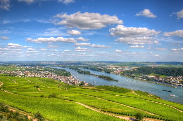 Vineyard Ruedelsheim Hessen Germany