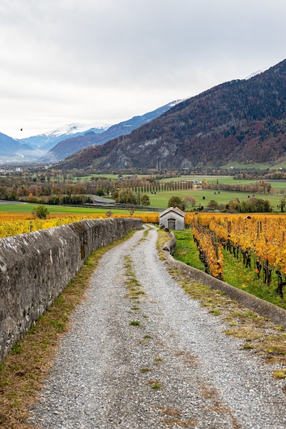 Vineyard and a small barn near Jenins Switzerland in the Autumn