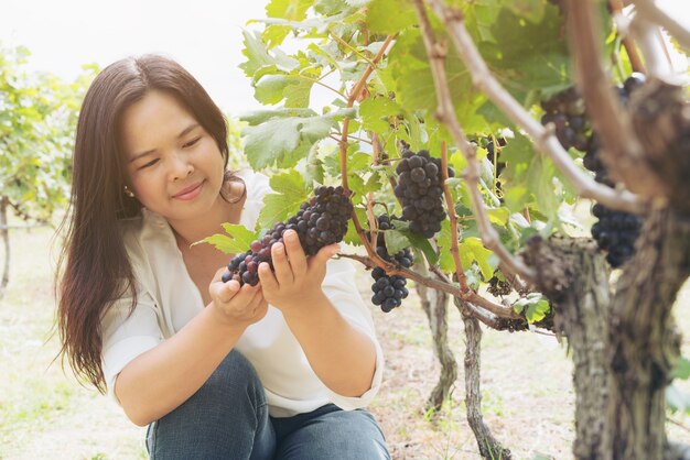 Vineyard worker checking grape quality in vineyard.