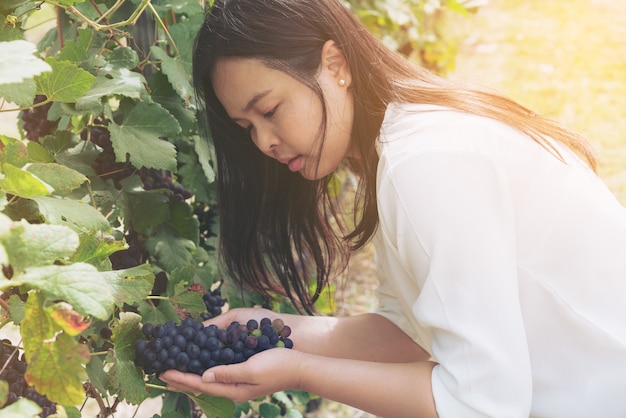 Vineyard worker checking grape quality in vineyard.