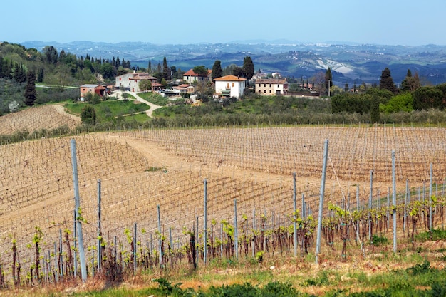 Vineyards in the hills of Tuscany