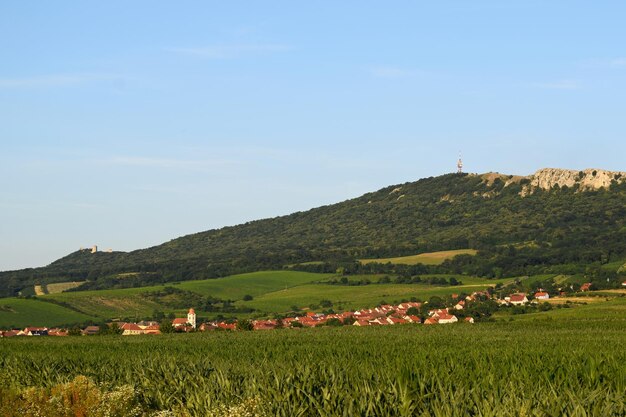 Vineyards under Palava Czech Republic South Moravian Region wine region