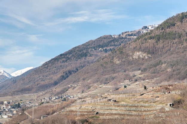 イタリアの町ソンドリオ周辺のブドウ畑