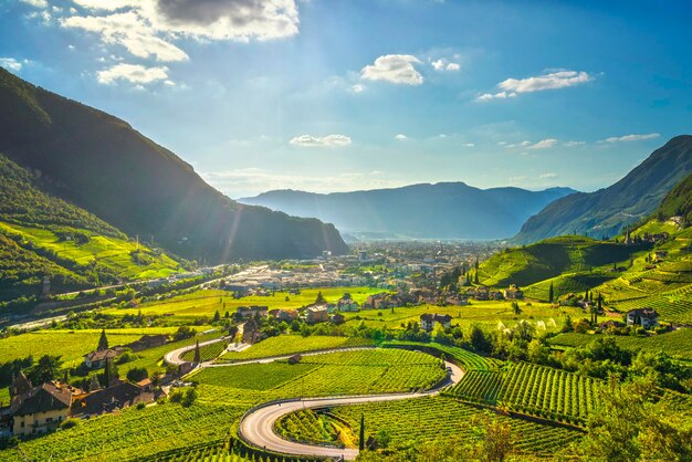 Photo vineyards view in santa maddalena bolzano trentino alto adige sud tyrol italy