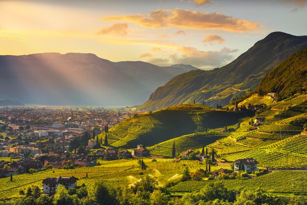 Vineyards view in Santa Maddalena Bolzano Trentino Alto Adige Sud Tyrol Italy