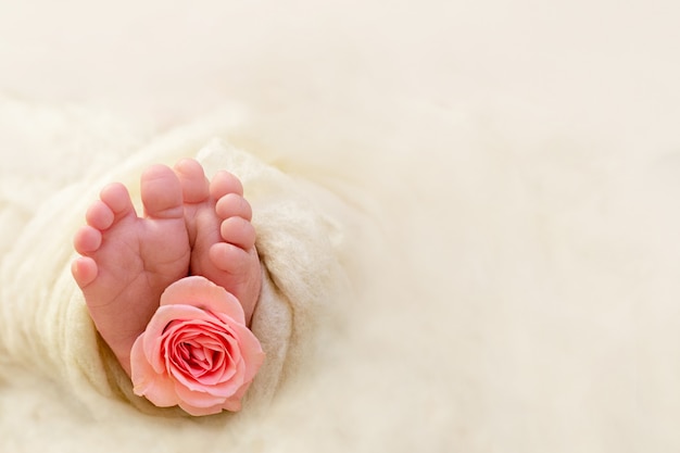 Vingers van een klein kind met een roze roos