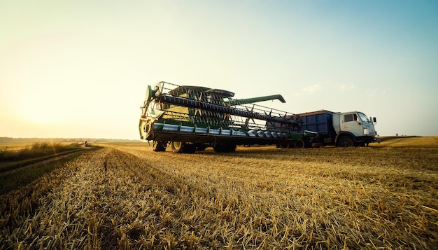 VinnitsaUkraine July 272016Grain harvesting combineSummer Landscape of endless Fields under blue skyunloading grainsharvesting the wheat on a sunsetAgricultureworknature and concept