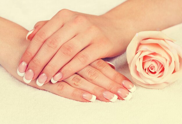 Vintage beautiful woman's hands with perfect french manicure and rose