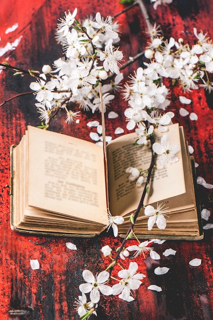 Vintage bible with blossom branch