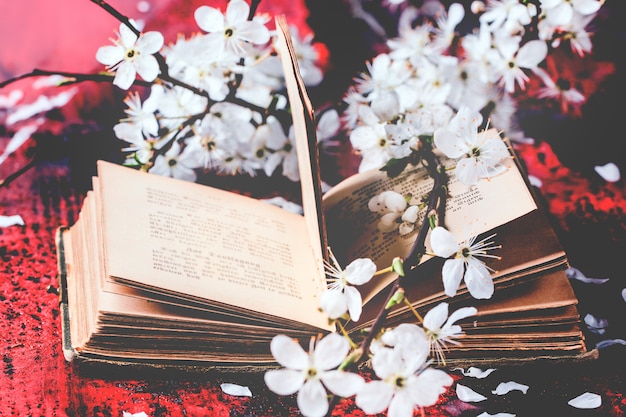 Vintage bible with blossom branch