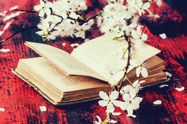 Vintage bible with blossom branch