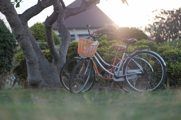 Vintage bicycle in nature