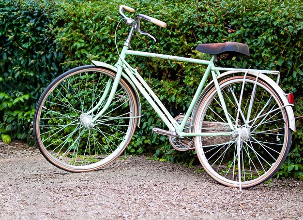 Vintage bicycle outdoors