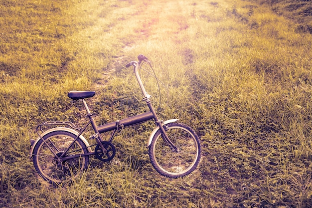 Vintage Bicycle in a park with light tone.