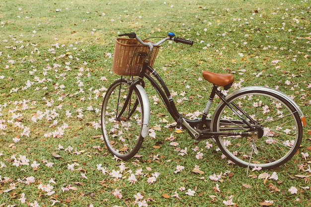 Vintage Bicycle with vintage filter style