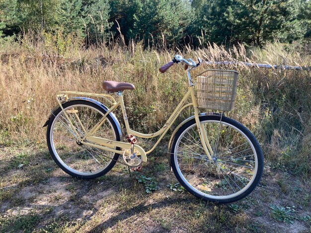 Vintage bike for walking in the fields