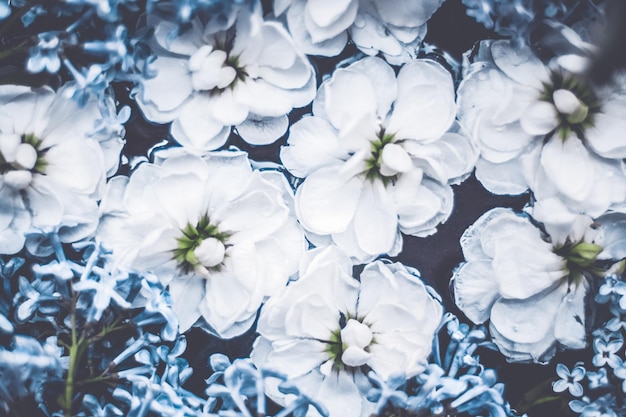 Foto vintage bloemen in een droomtuin bloemenachtergrond