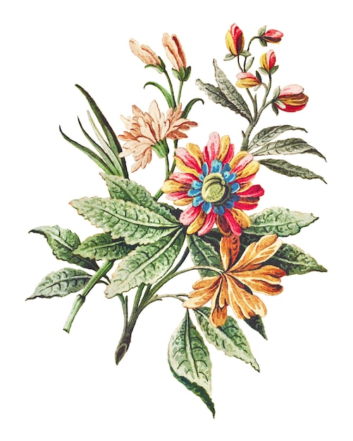 vintage blooming colorful flower branch design element