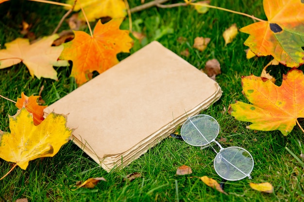 Винтажная книга и очки с кленовыми листьями на зеленой траве в саду