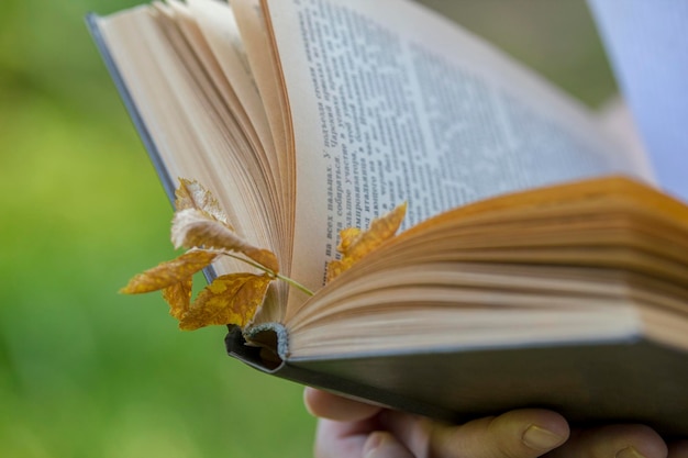 Vintage book with autumn leaf in female hands outdoors, close up