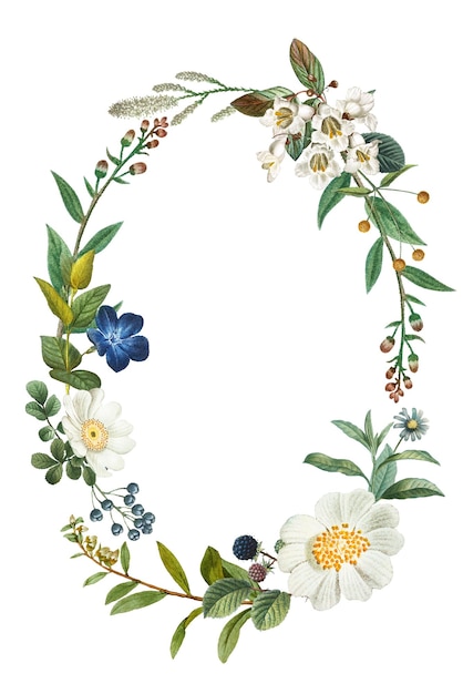 Vintage botanical frame png sticker