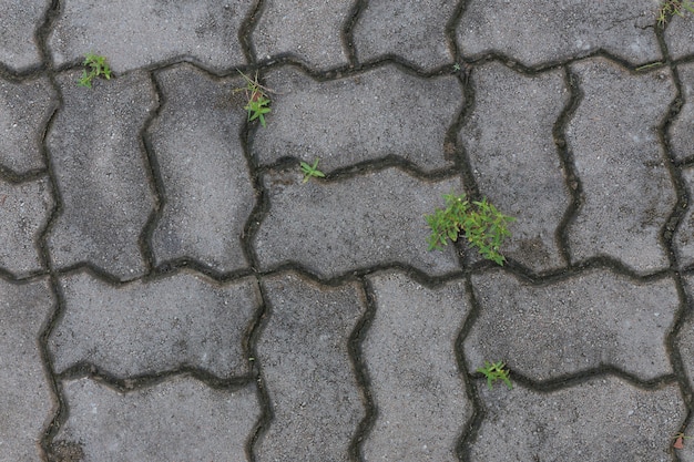 vintage brick walkway retro style