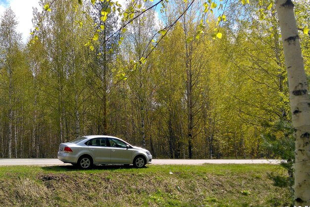 Photo vintage car on field by trees in forest