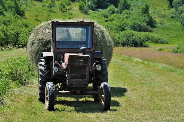 Foto auto d'epoca sul campo