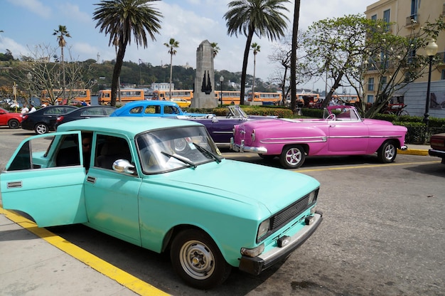 Photo vintage car on palm tree