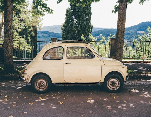 Foto auto d'epoca parcheggiata sulla strada vicino agli alberi