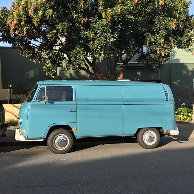 Vintage car on tree