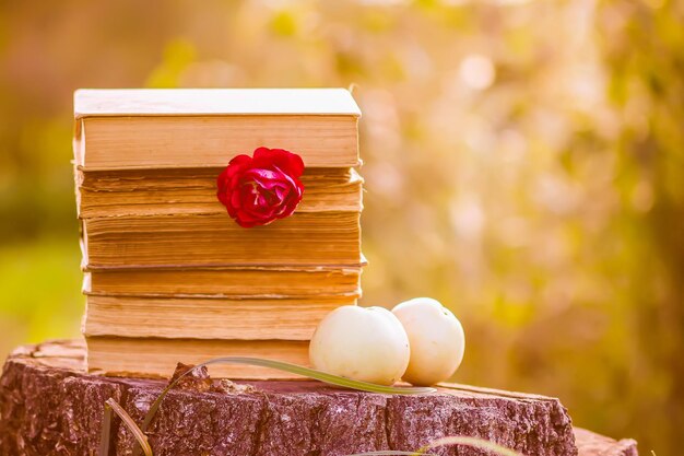 Vintage card with stack of old books, fresh garden apples and rose flower on tree stump in a summer park.