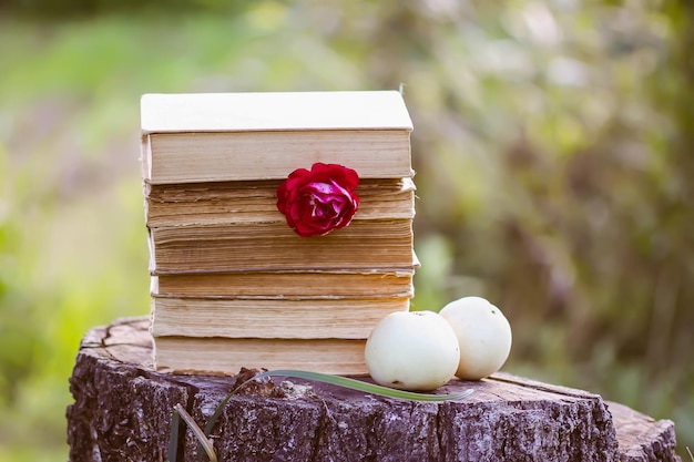 Vintage card with stack of old books and rose flower outdoors