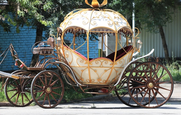 vintage carriage with horse in the park