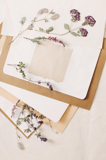 Vintage composition of dried plants and old sheets of paper