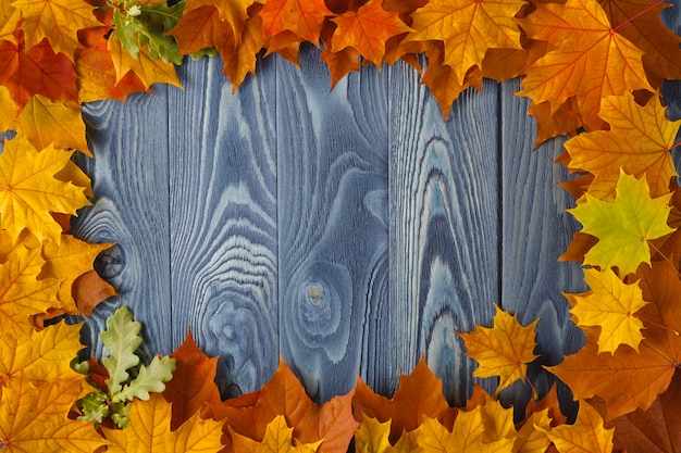 Vintage composition with autumn fruit arranged in a circle on the wooden background