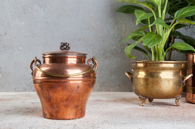 Photo vintage copper can and green plants