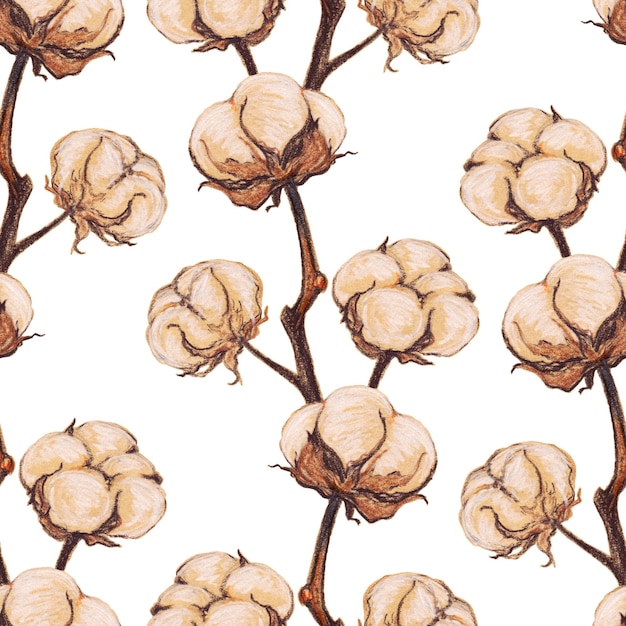 Vintage cotton flower plant sepia sketch seamless pattern texture background