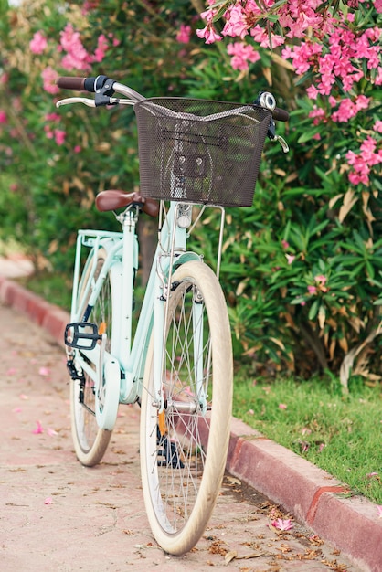 Vintage damesfiets in de buurt van groene struiken met bloemen