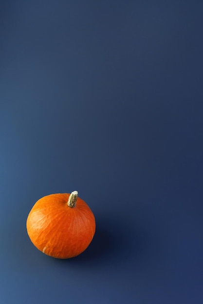 Premium Photo | Vintage design for any purposes orange pumpkin on blue