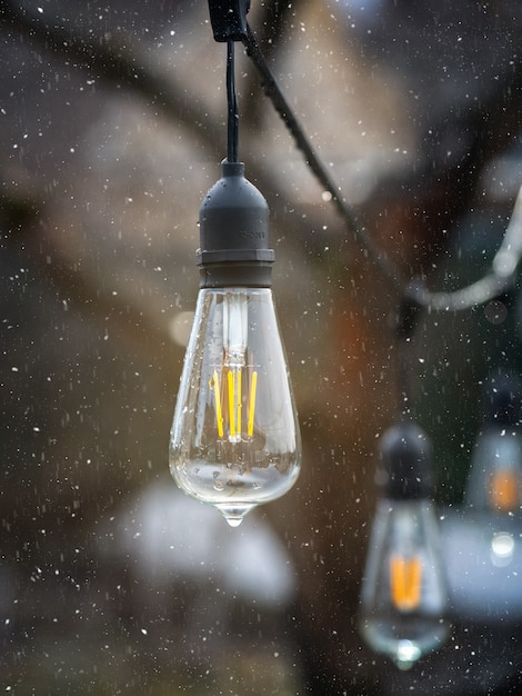 Vintage Edison type incandescent lamps outdoors in a snowfall. Vertical view.