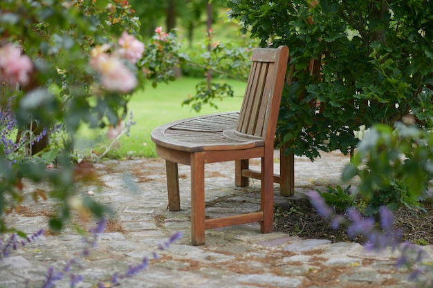 Photo vintage empty wooden bench surrounded by roses