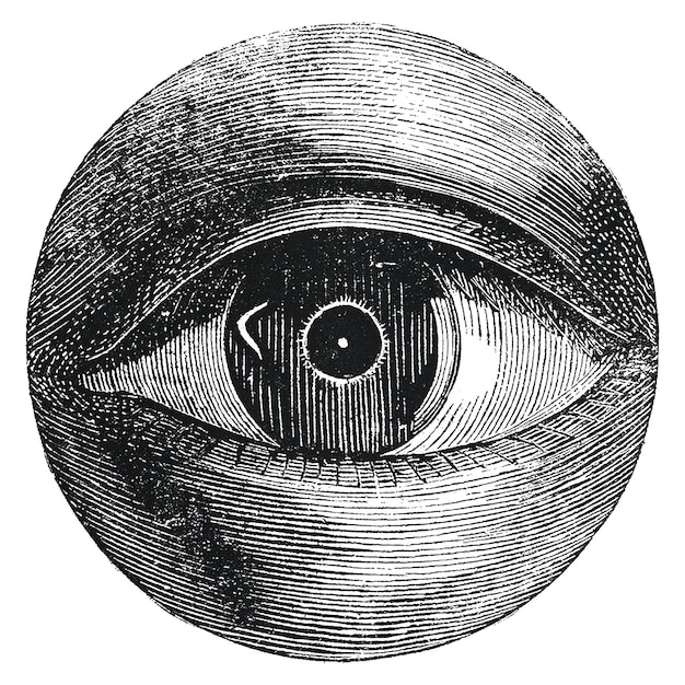 vintage eye drawing png remixed from artwork by isaac weissenbruch