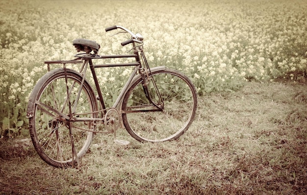 Vintage fiets naast een landelijk mosterdveld in Bangladesh