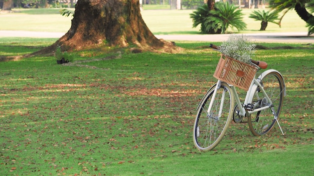 Vintage fiets of fiets en bruine kleur houten mand voorin en kleine witte kleur bloemen