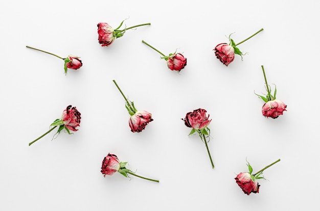 Vintage floral background made of dried red roses on white background