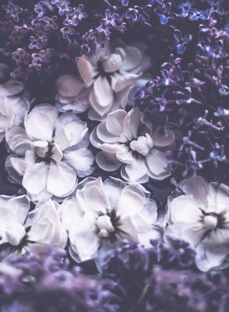 Photo vintage floral background